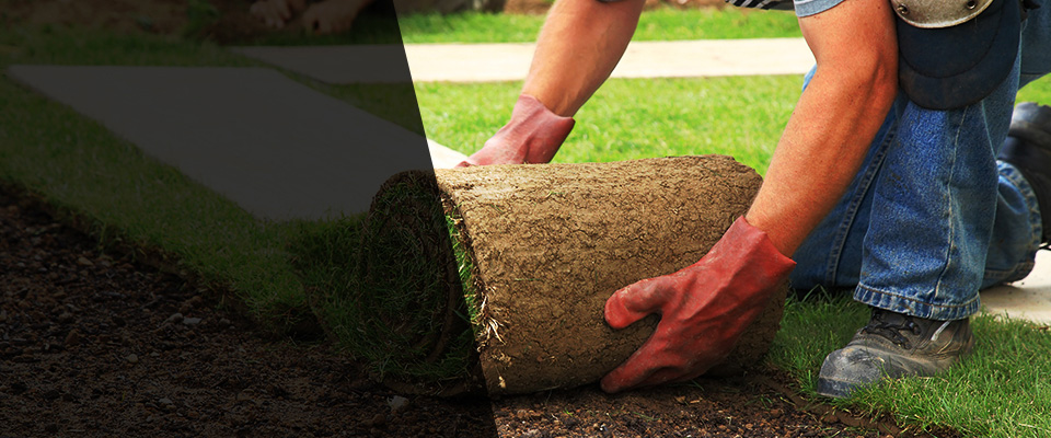 Nyack Landscapers